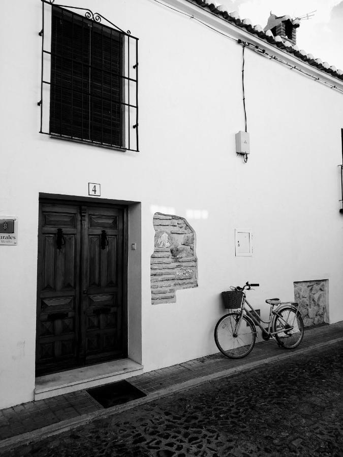 阿尔玛格鲁 Casa Rural Hidalga旅馆 外观 照片